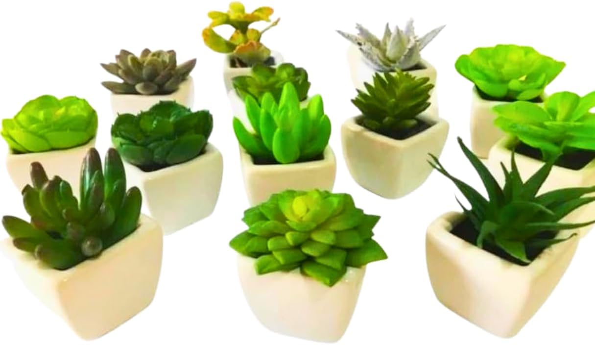 Conjunto com 6 Vasos de Cerâmica e Mini Suculentas Artificiais - Decore com Charme e Elegância! 1 Conjunto com 6 Vasos de Ceramica e Mini Suculentas Artificiais