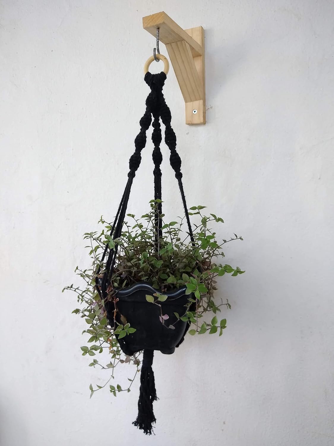 Floreira De Macramê Plant Hanger Suporte Suspenso Colorido Preto 1 Floreira De Macrame Plant Hanger Suporte Suspenso Colorido Preto