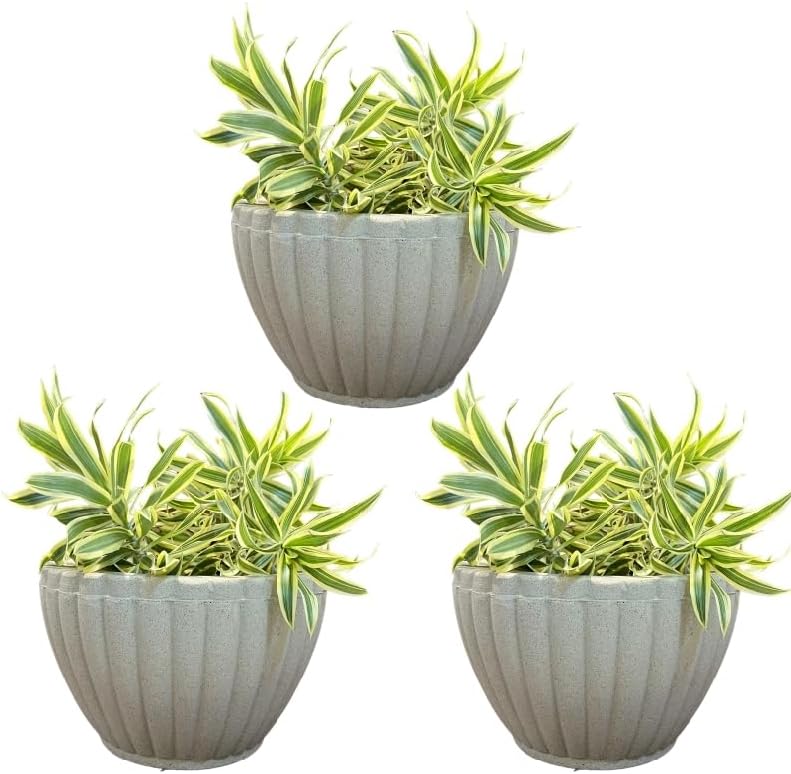 KIT 03 BACIAS GREGA VASOS POLIETILENO PARA PLANTAS E AMBIENTES PREMIUM (BEGE) 1 KIT 03 BACIAS GREGA VASOS POLIETILENO PARA PLANTAS E AMBIENTES