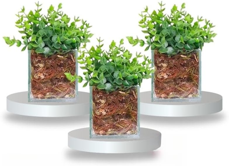 Kit 3 Vasinhos De Vidro Com Planta Artificial Permanente DecoraçãO 1 Kit 3 Vasinhos De Vidro Com Planta Artificial Permanente DecoracaO