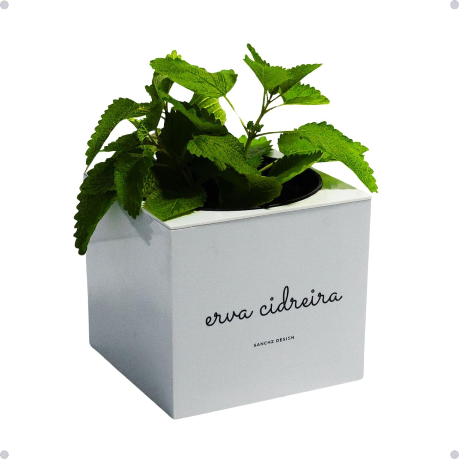 Kit Horta Vertical Vaso + Sementes e Substrato Para Chá Jardineiras Salmão (Erva-Cidreira, Rosa Salmão, 1) 1 Kit Horta Vertical Vaso Sementes e Substrato Para Cha