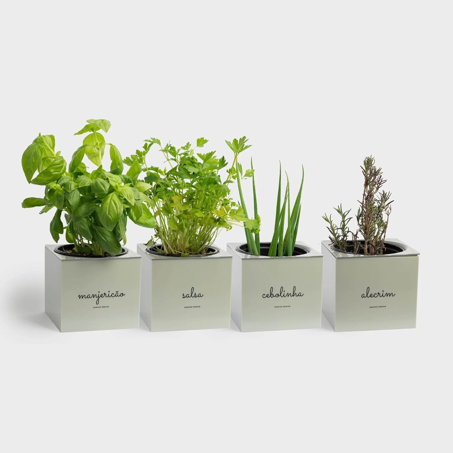 Kit Plantio Completo Minha Horta Plástico Vaso Autoirrigável Substrato Sementes Jardim Hortaliças (Branco) 1 Kit Plantio Completo Minha Horta Plastico Vaso Autoirrigavel Substrato Sementes
