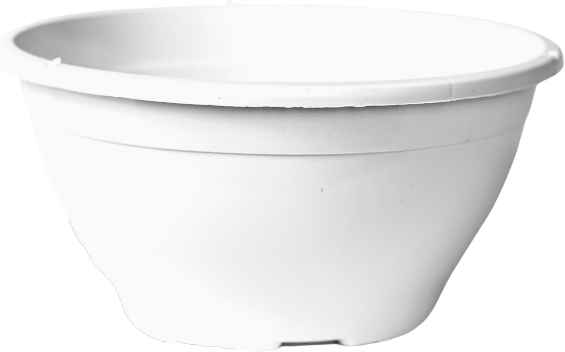 Kit de vasos plastico cuia 21 de 2 litros para plantas cactos e suculentas (BRANCO, 5) 1 Kit de vasos plastico cuia 21 de 2 litros para
