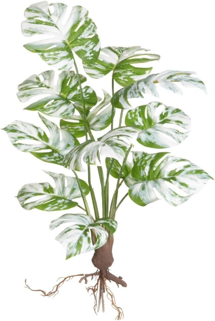 Planta Artificial Costela de Adão Com Tronco Raízes, Decoração para Casa, Sala de Estar, Quarto, Escritório - Loja Sensorial (Grande Verde Branco 60cm) 1 Planta Artificial Costela de Adao Com Tronco Raizes Decoracao para