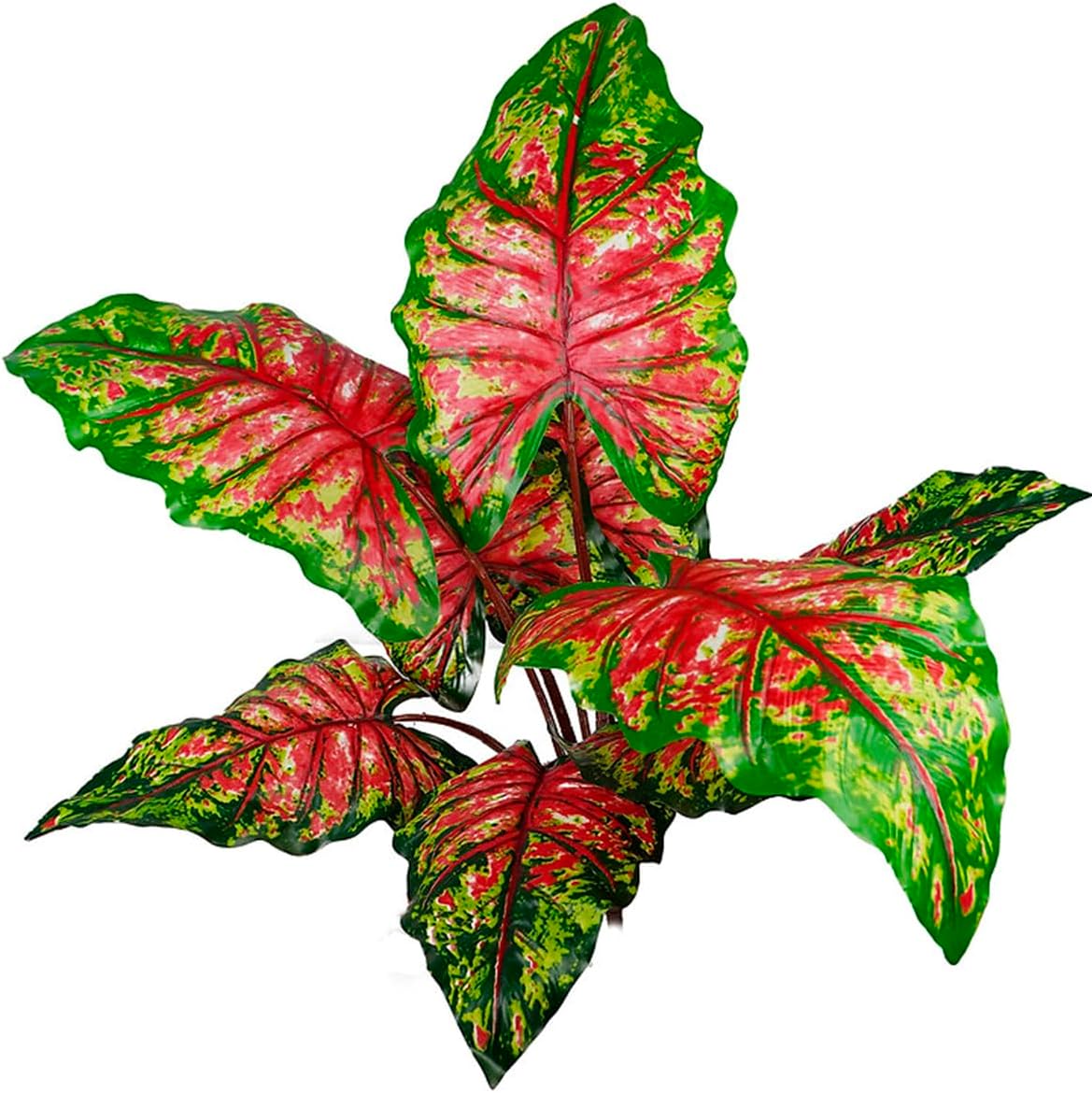 Planta Folhagem Comigo Ninguém Pode Planta 71cm Com 9 Folhas 1 Planta Folhagem Comigo Ninguem Pode Planta 71cm Com 9 Folhas
