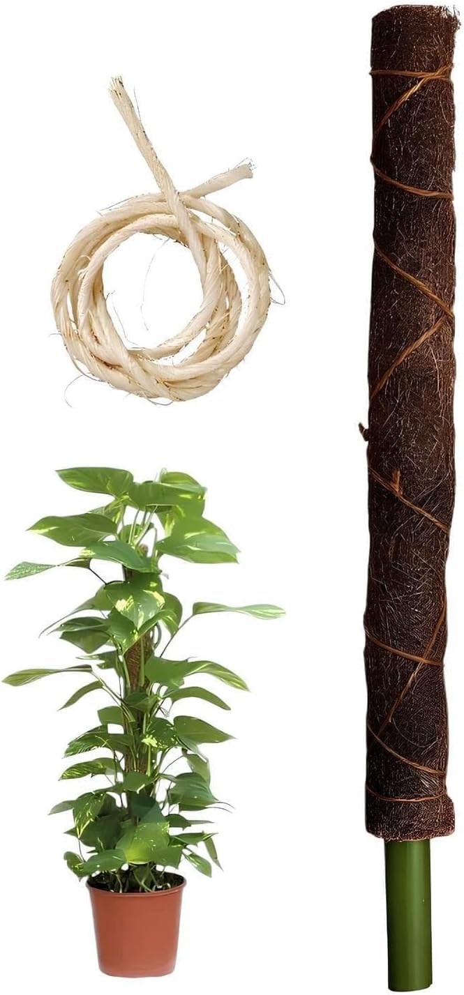 Tutor Para Plantas Trepadeira Bastão Fibra De Coco e Bambu Para Orquídeas Jiboias 1 Tutor Para Plantas Trepadeira Bastao Fibra De Coco e Bambu