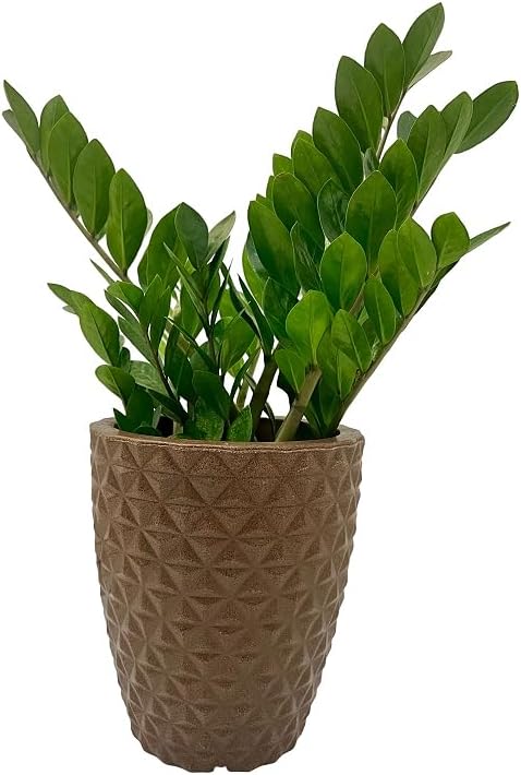 VASO POLIETILENO COLUNA BERLIAN GOLD 3D DECORATIVO PPLANTASJARDINSESCRITORIOS MARROM