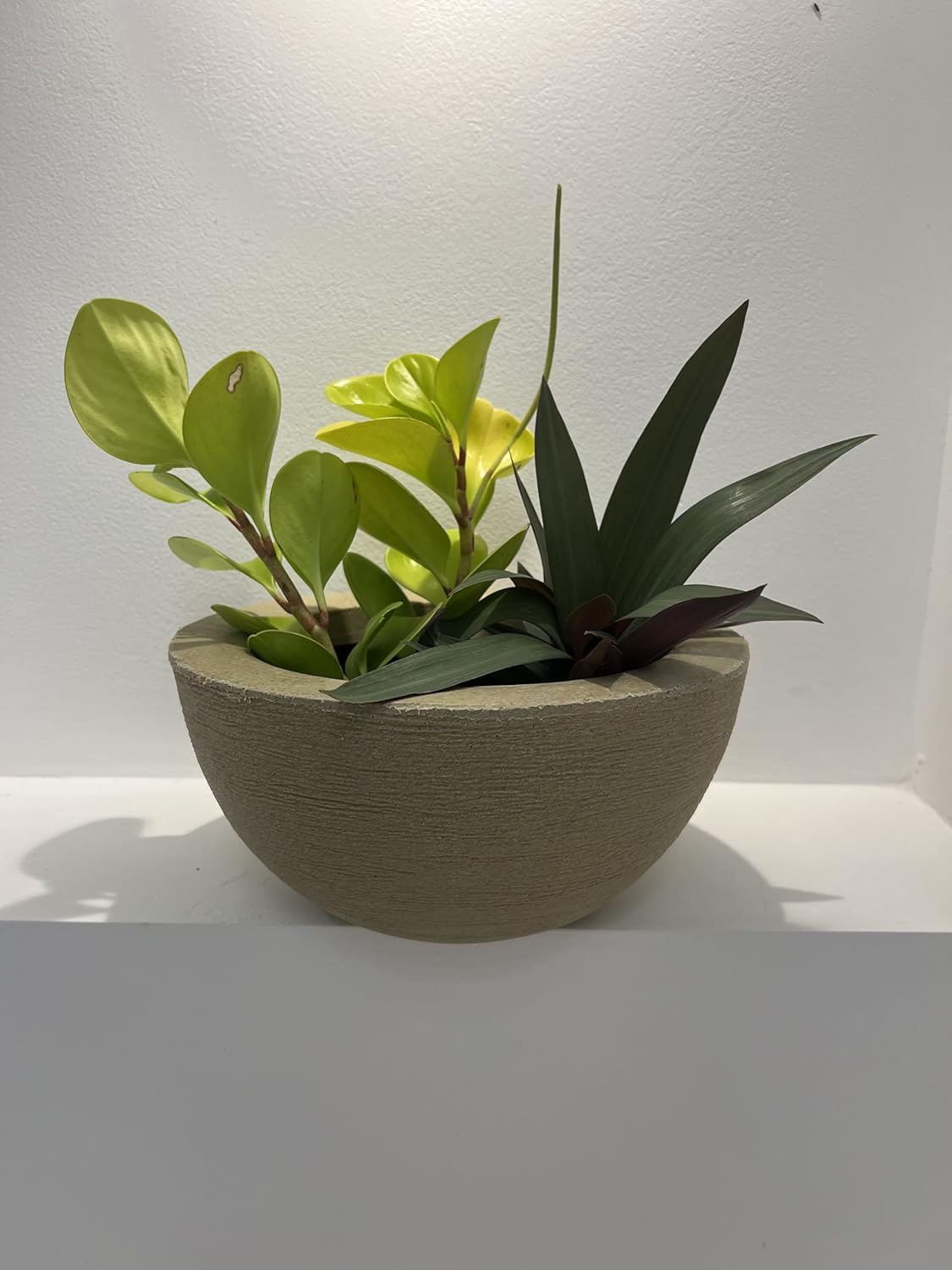 VASOS POLIETILENO BACIA DECORATIVO P/PLANTAS/JARDINS/ESCRITÓRIOS LUXO (BEGE) 1 VASOS POLIETILENO BACIA DECORATIVO PPLANTASJARDINSESCRITORIOS LUXO BEGE