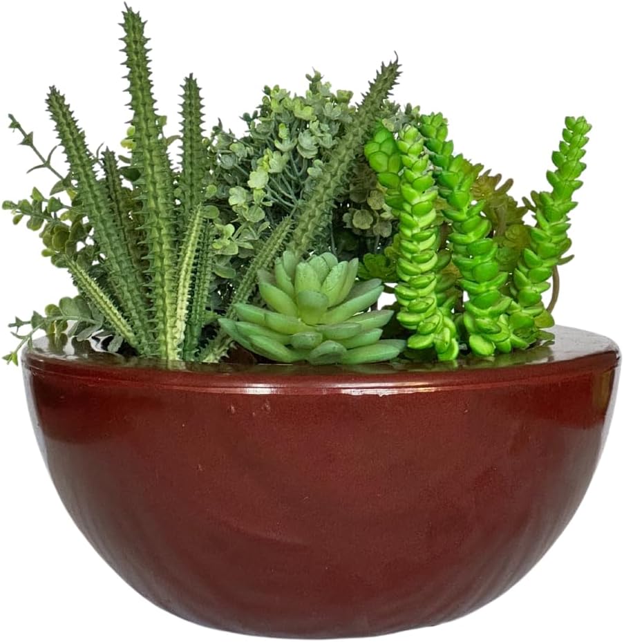 Vaso Bacia Cuia Planta Decorativa Suculentas Rosa Do Deserto (Bordô) 1 Vaso Bacia Cuia Planta Decorativa Suculentas Rosa Do Deserto Bordo