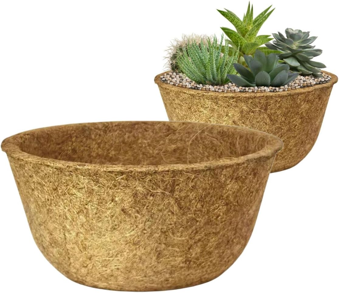 Vaso Cuia Natural Xaxim de Fibra de Coco 19x12cm Ecológico Pequeno Único Para Planta Suculenta Cacto e Rosa do Deserto 1 Vaso Cuia Natural Xaxim de Fibra de Coco 19x12cm Ecologico