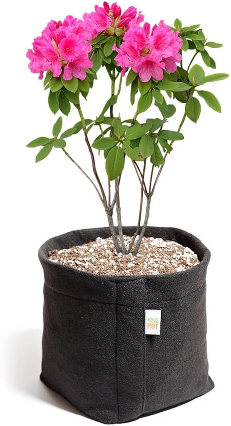 Vaso de Feltro 7 Litros - King Pot (Preto) 1 Vaso de Feltro 7 Litros King Pot Preto