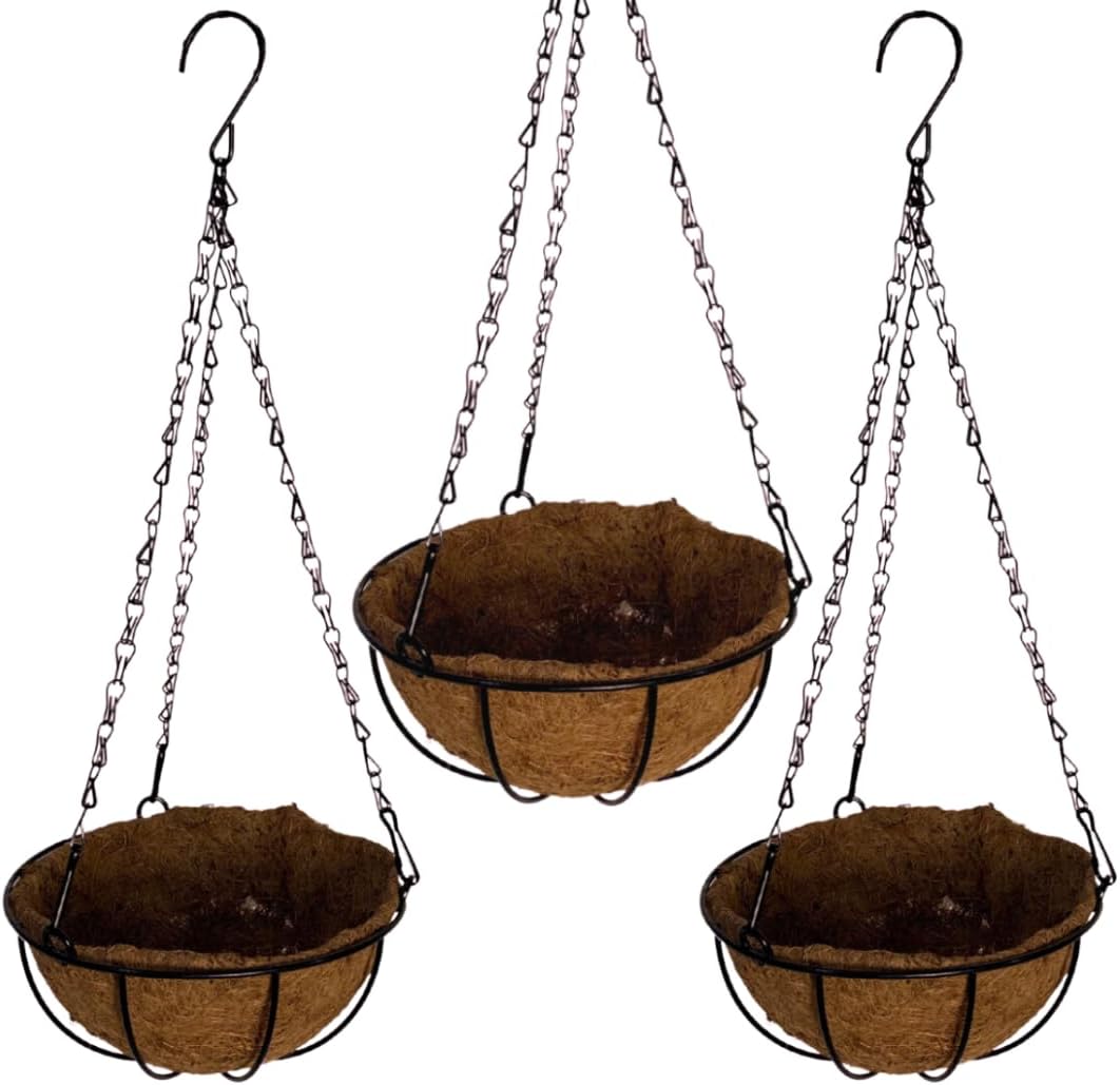 Vaso de Fibra de Coco 20cm de Plantas Suspenso com Corrente (3, 20cm) 1 Vaso de Fibra de Coco 20cm de Plantas Suspenso com