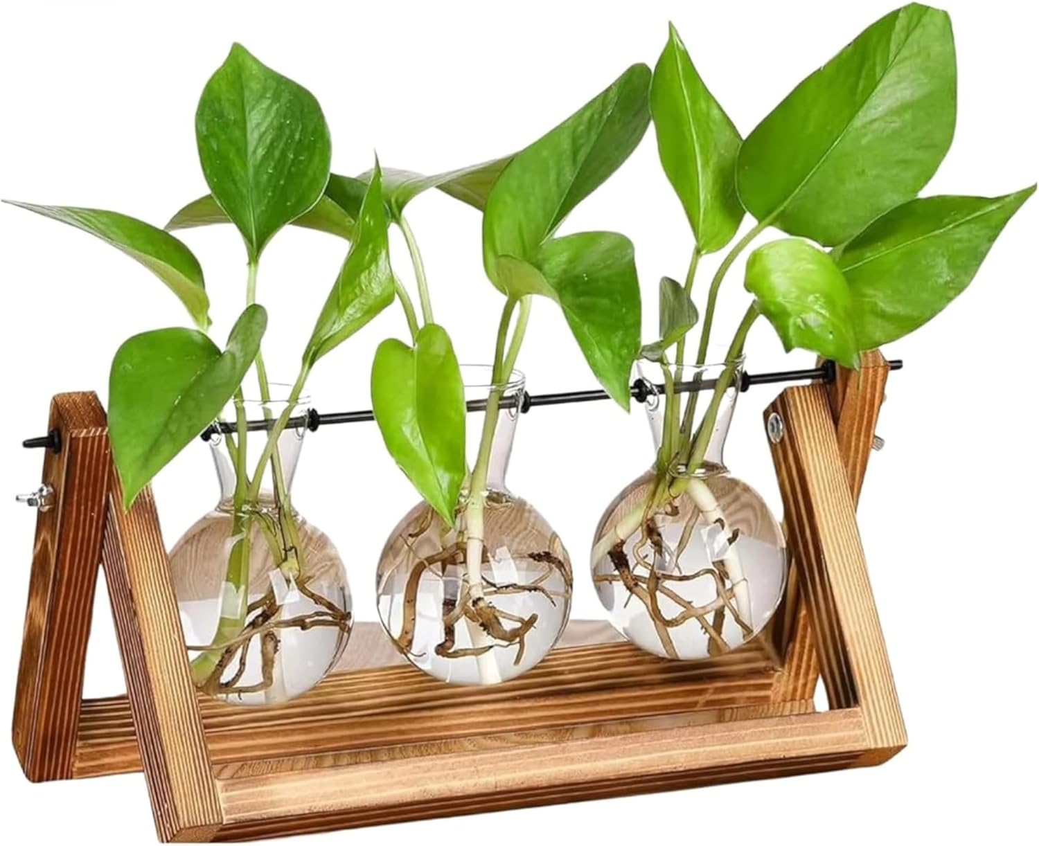 Vaso de Vidro Decorativo de mesa Com Suporte de Madeira