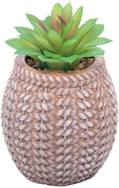 WOLFF Cachepot de Cerâmica com Suculenta Sisal 9,5cm x 9,5cm X 14,5cm 1 WOLFF Cachepot de Ceramica com Suculenta Sisal 95cm x 95cm