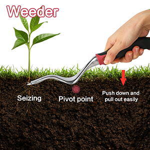 weeder