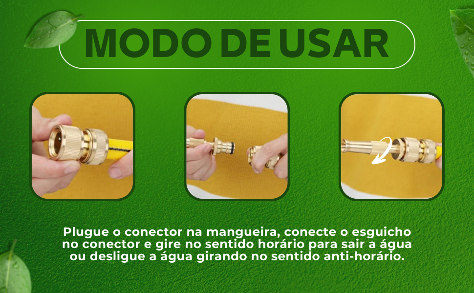MANGUEIRA 05