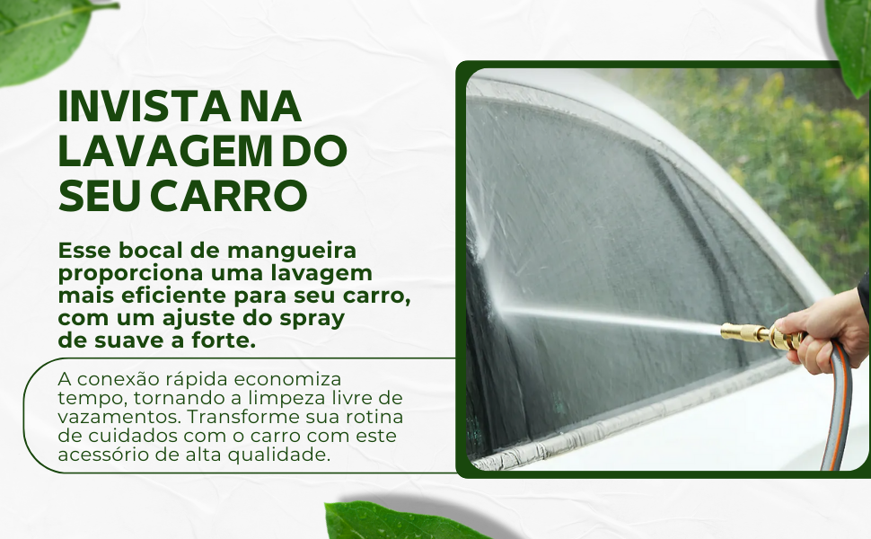MANGUEIRA 06