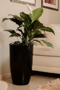 Vaso Grande Polietileno Para Plantas Marmorizado Brilhante Vietnamita N3 (Preto)