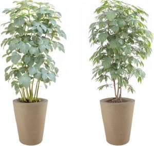 KIT 2 Vasos Decorativo Coluna Cone Redonda Varanda 33x40 Grande Para plantas e jardim (BEGE) 1 KIT 2 Vasos Decorativo Coluna Cone Redonda Varanda 33x40 Grande Para plantas e jardim (BEGE)