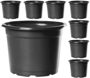 Kit 100 Vaso Pote 15 de Muda 1,16ml Para Produtor de Cactos e Suculentas de Plástico Preto Médio Para Grande