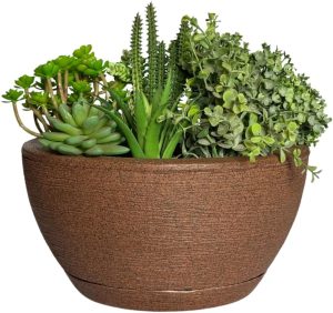 Vaso Bacia Cuia P/plantas Decorativa Luxo Terrário Jardim C/prato (Marrom)