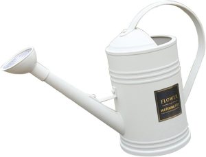 ＡＷＨＡＯ Regador de Jardim com Alça, Chaleira para Rega, Bico Longo, 1,8l, Equipamento de Rega Interno para Plantas de Casa, Branco