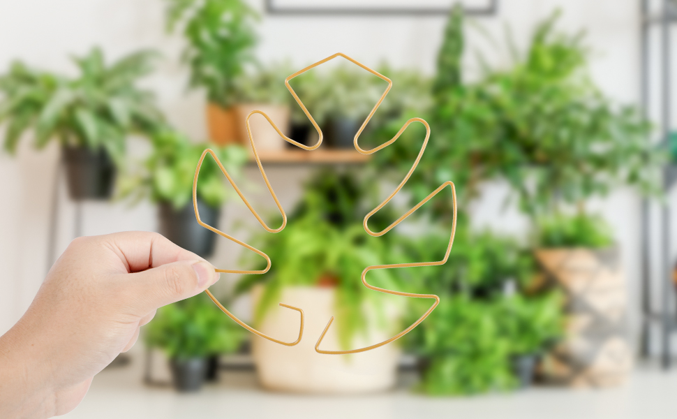 suporte de plantas monstera
