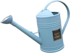 ＡＷＨＡＯ Regador de Jardim com Alça, Chaleira para Rega, Bico Longo, 1,8l, Equipamento de Rega Interno para Plantas de Casa, Azul