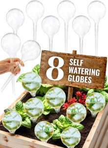 8 globos de irrigação de plantas de plástico - conjunto de irrigador automático de plantas inclui acessórios para vasos internos e externos - Sistema de inserção de plantador autoirrigável com