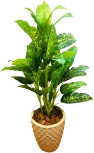 Planta Folhas Grandes Artificial Comigo Ninguém Pode Com Vaso