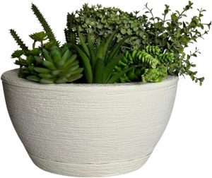 Vaso Bacia Cuia P/plantas Decorativa Luxo Terrário Jardim C/prato (Branco)