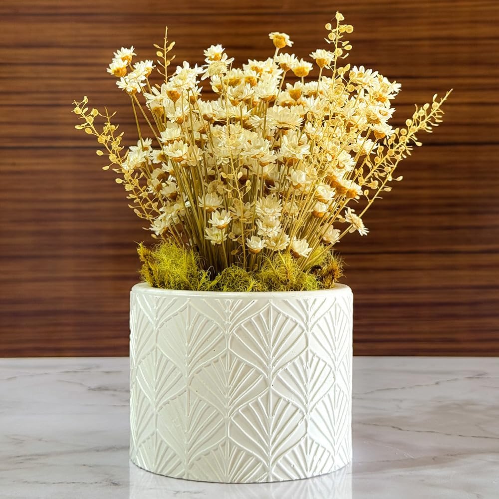 Arranjo de Flores Sempre-Vivas Naturais em Vaso Decorativo, 15 cm, Branco com Padrão Art Déco (1) 1 Arranjo de Flores Sempre Vivas Naturais em Vaso Decorativo 15 cm