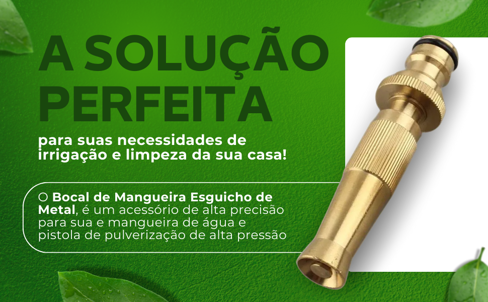 MANGUEIRA 01