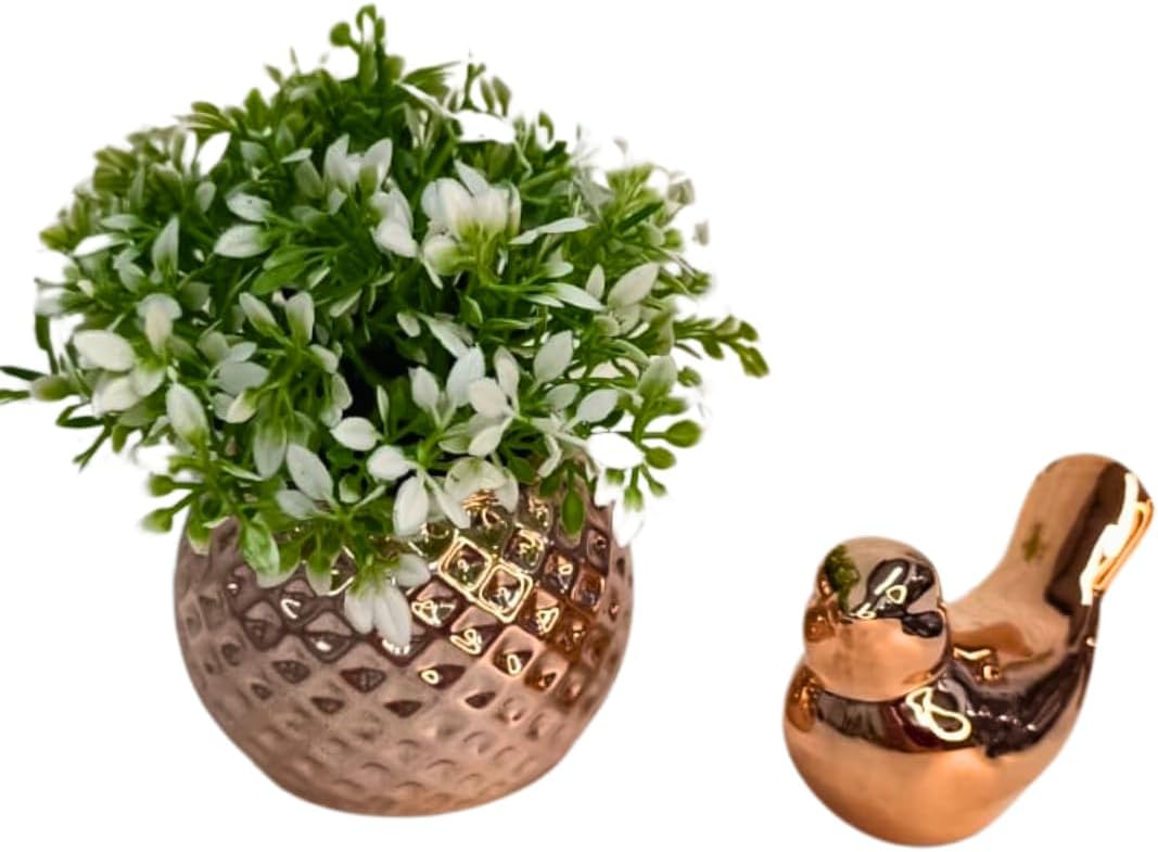 Conjunto Vasinho Vaso Cachepo Rose, Planta Pick Pássaro Decoração 1 Conjunto Vasinho Vaso Cachepo Rose Planta Pick Passaro Decoracao
