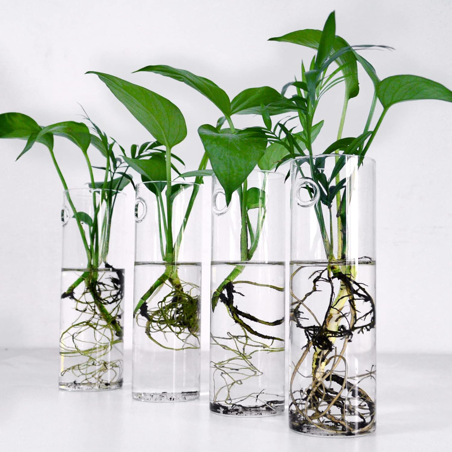 Estacao de propagacao de plantas de vidro para pendurar na