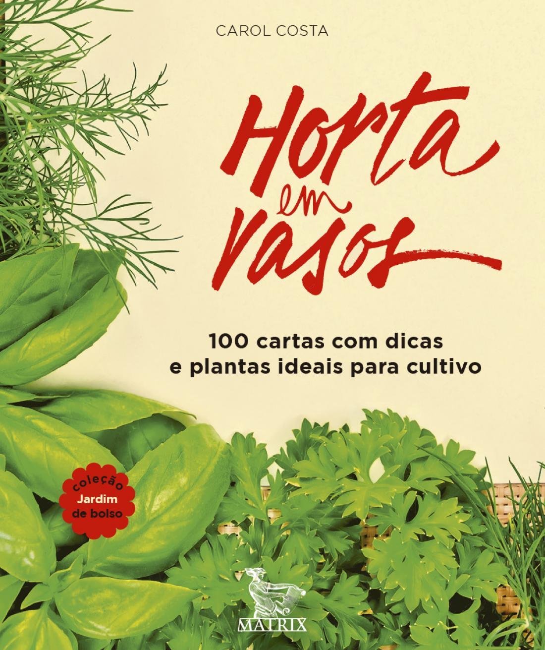 Horta em vasos 1 Horta em vasos