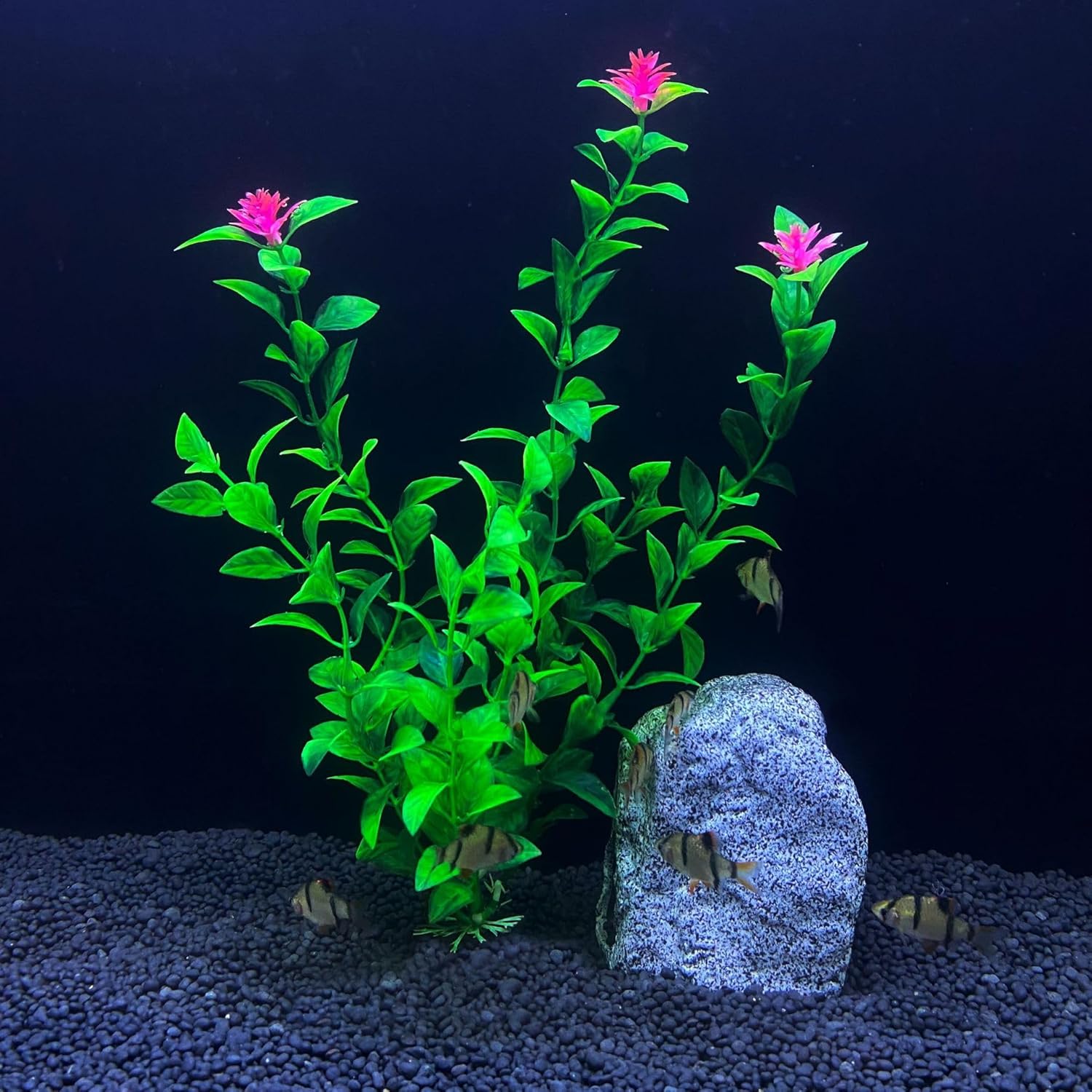Planta Artificial Aquario Enfeite e Decoração 20cm S854 1 Planta Artificial Aquario Enfeite e Decoracao 20cm S854