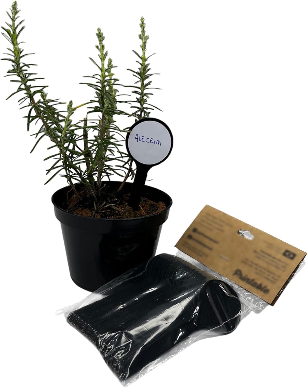 Printable Placas Identificadoras Preta para Plantas Horta e Jardim