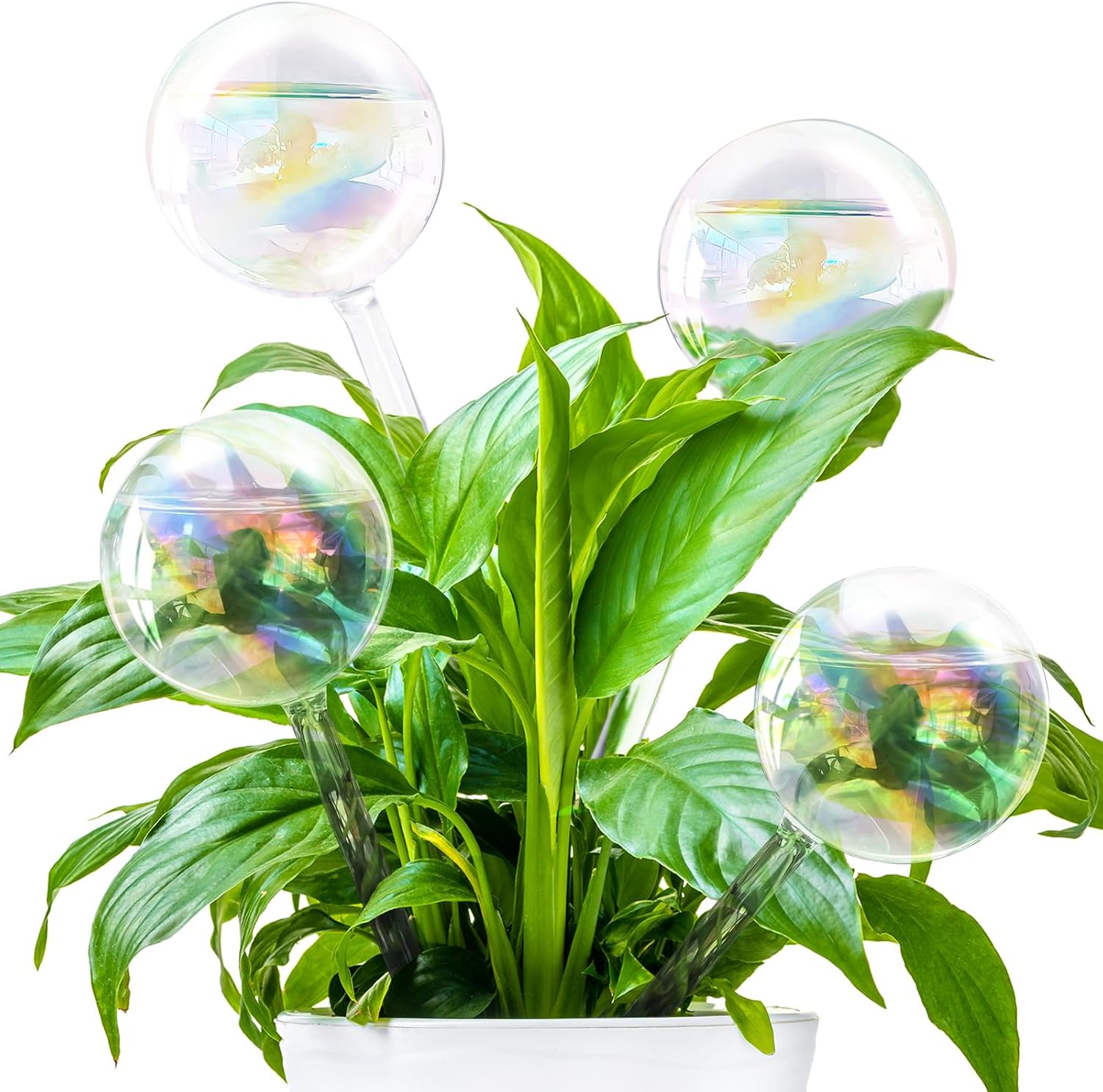 Pynqdfu 4 Peças de Globos de Rega de Plantas, Dispositivos de Rega de Vidro Gradiente de Arco-Íris, Acessórios de Inserção de Planta de Rega Automática para Interior, Exterior, Vaso de Flores, Plantas 1 Pynqdfu 4 Pecas de Globos de Rega de Plantas Dispositivos