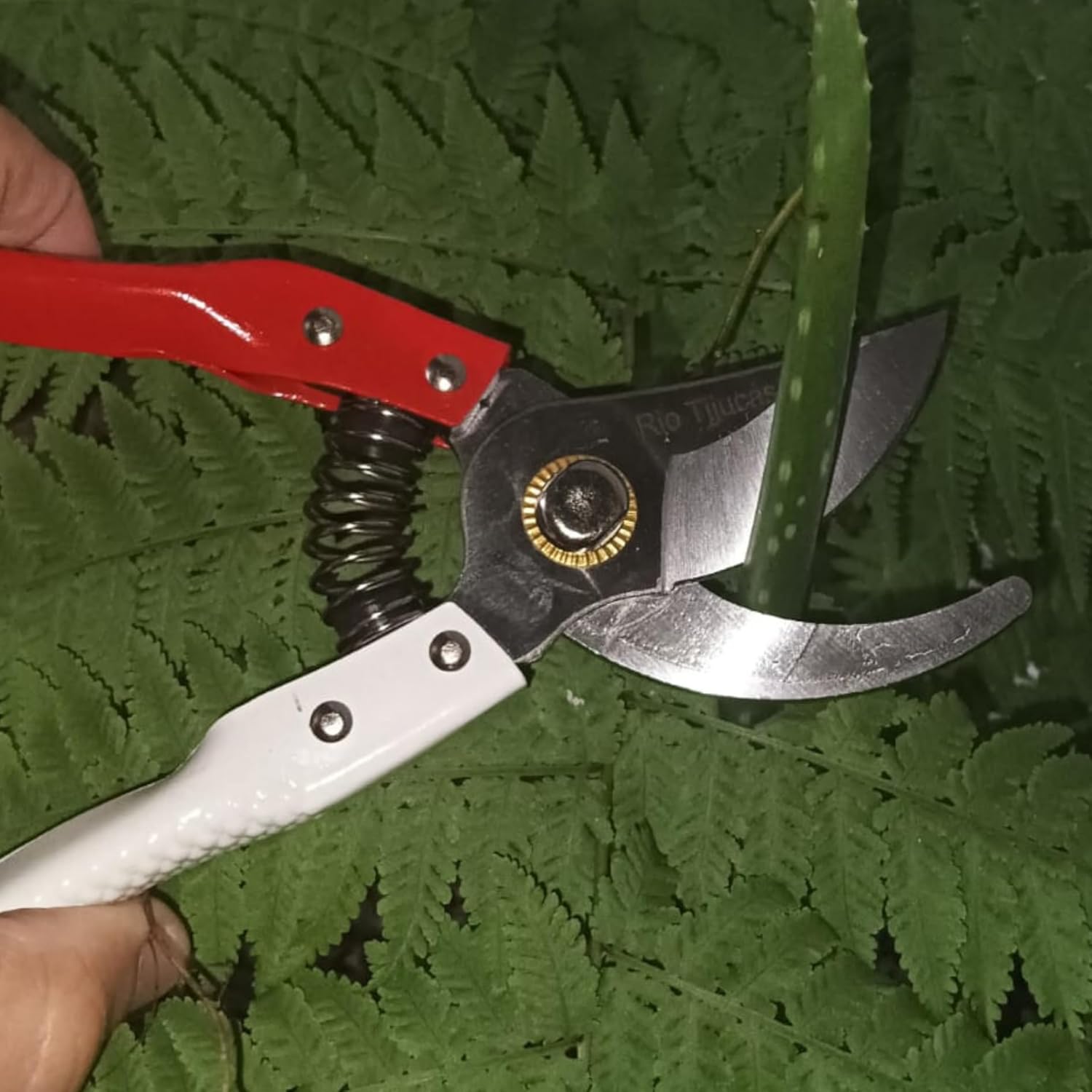 Tesoura de poda Jardin 20 cm Ferramenta de Jardinagem, profissional com Lâmina Metálica e Cabo em Aço Forte -THREE BROTHERS 1 Tesoura de poda Jardin 20 cm Ferramenta de Jardinagem profissional