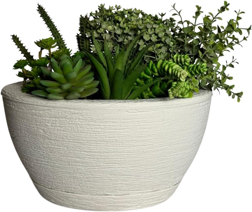 Vaso Bacia Cuia P/plantas Decorativa Luxo Terrário Jardim C/prato (Branco) 1 Vaso Bacia Cuia Pplantas Decorativa Luxo Terrario Jardim Cprato Branco
