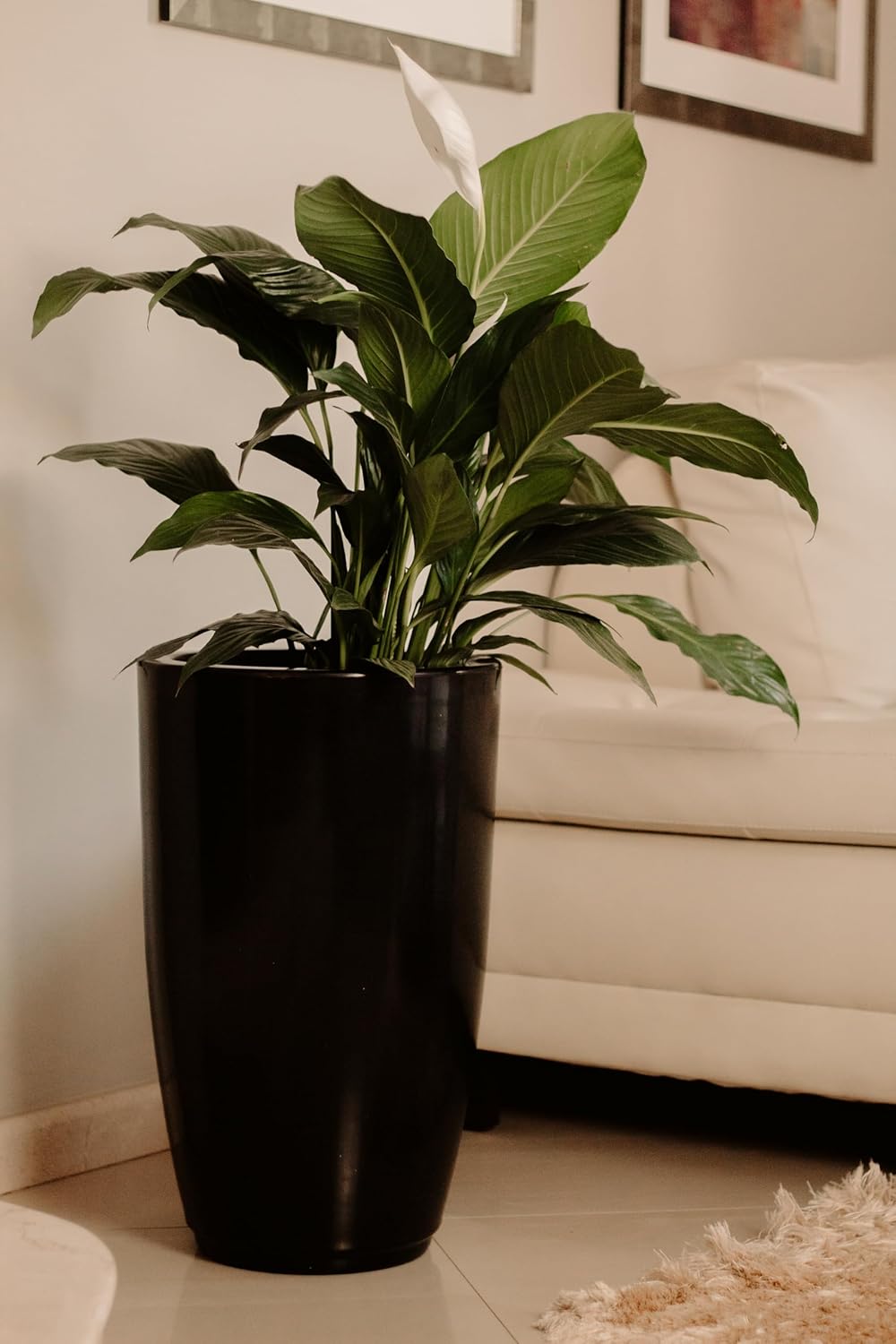Vaso Grande Polietileno Para Plantas Marmorizado Brilhante Vietnamita N3 (Preto) 1 Vaso Grande Polietileno Para Plantas Marmorizado Brilhante Vietnamita N3 Preto