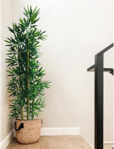 Planta Artificial Bambu Natural Folha de Bambu Da Sorte Real Toque 1 Planta Artificial Bambu Natural Folha de Bambu Da Sorte Real Toque