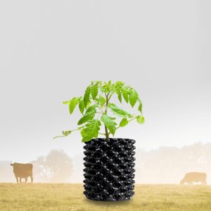Vaso AIR GROW Cultivando Sustento para Raízes Saudáveis 7,9 Litros Resistentes e Duráveis para Cultivo Indoor ou Outdoor com Diâmetro 20cm e Altura 25cm (Preto) (Preto) 1 Vaso AIR GROW Cultivando Sustento para Raízes Saudáveis 7,9 Litros Resistentes e Duráveis para Cultivo Indoor ou Outdoor com Diâmetro 20cm e Altura 25cm (Preto) (Preto)