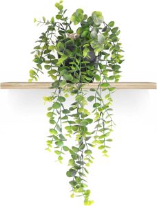 Planta Artificial Pendente com Vaso Preto Incluso (Arranjo Pronto) - Planta Artificial Caída para Prateleira (Eucalipto) 1 Planta Artificial Pendente com Vaso Preto Incluso (Arranjo Pronto) - Planta Artificial Caída para Prateleira (Eucalipto)