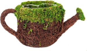 SuperMoss (55259) 12,7 cm Deco Rega Regador Cesta, Pequena