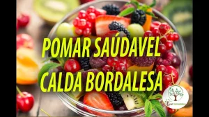 1751084514_CALDA-BORDALEZA-PROTECTOR-FERT-FOLIAR-MISTO-A-BASE-DE-COBRE