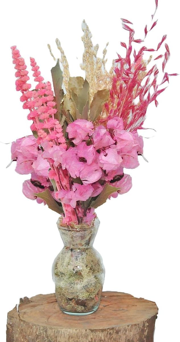 Arranjo de Flores Desidratadas Petit rosa + Vaso de Vidro Centro de Mesa Decoração 1 Arranjo de Flores Desidratadas Petit rosa Vaso de Vidro