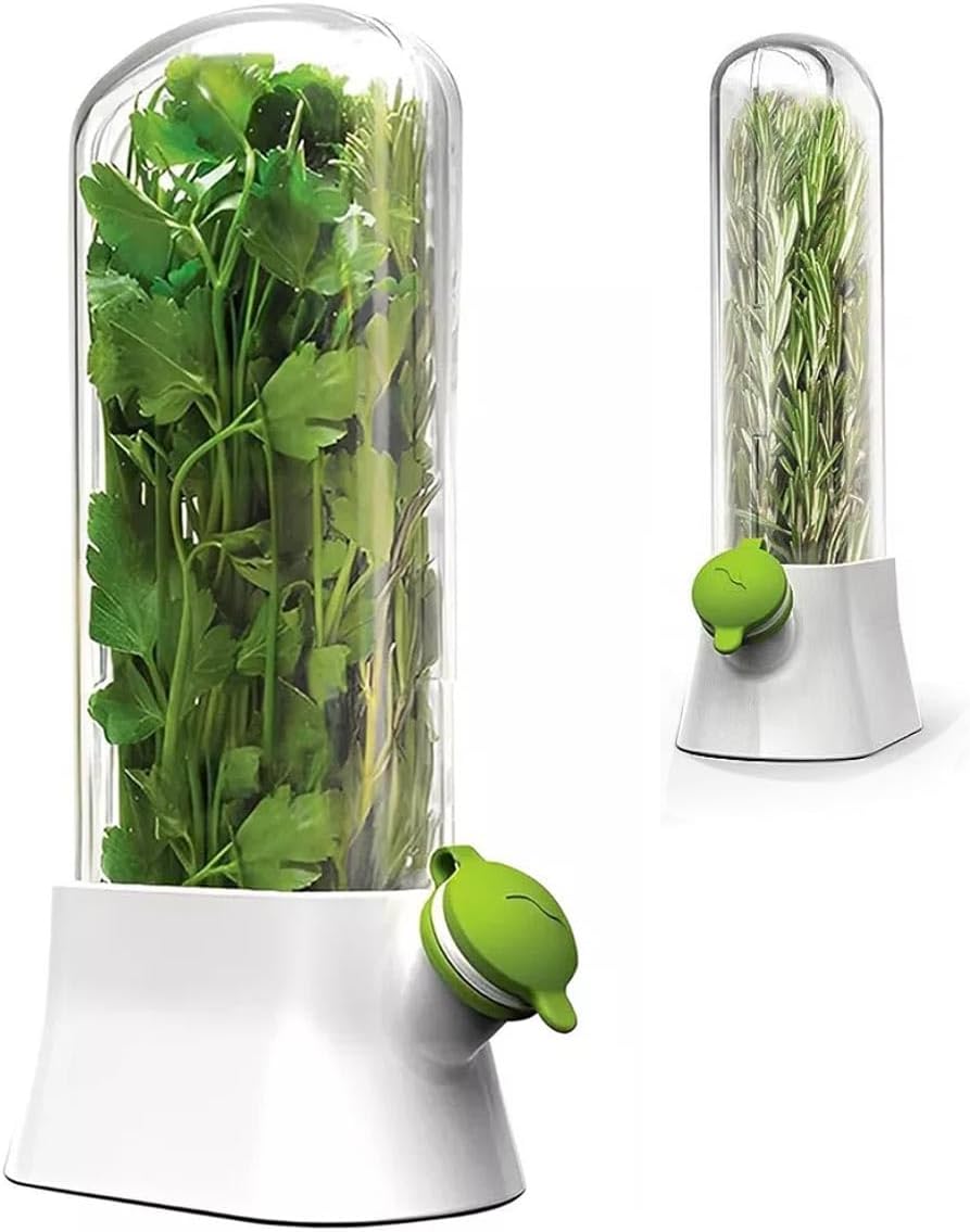 Herbario Dispenser Conserva Ervas Frescas Salsa Alface Alecrim Hortela vegetais Legumes Recipiente Geladeira 1 Herbario Dispenser Conserva Ervas Frescas Salsa Alface Alecrim Hortela vegetais