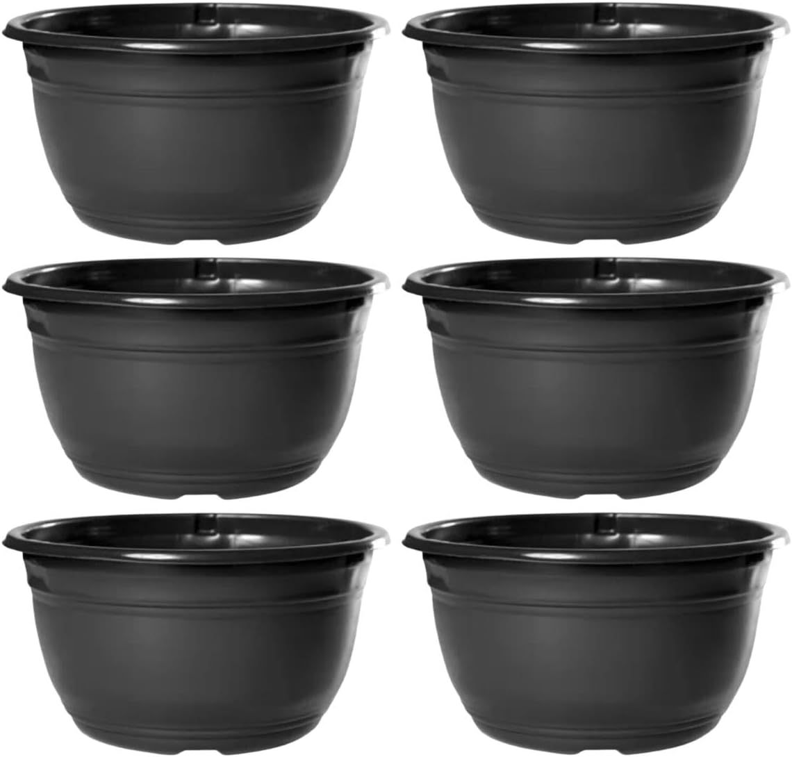 Kit 20 Vaso Cuia Para Produtor De Rosa Do Deserto